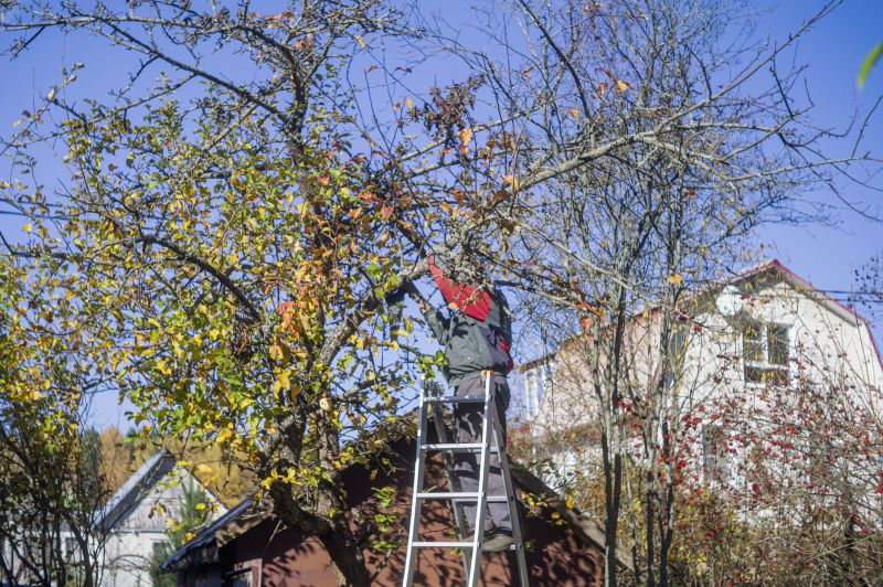 Tree Trimming Service detail